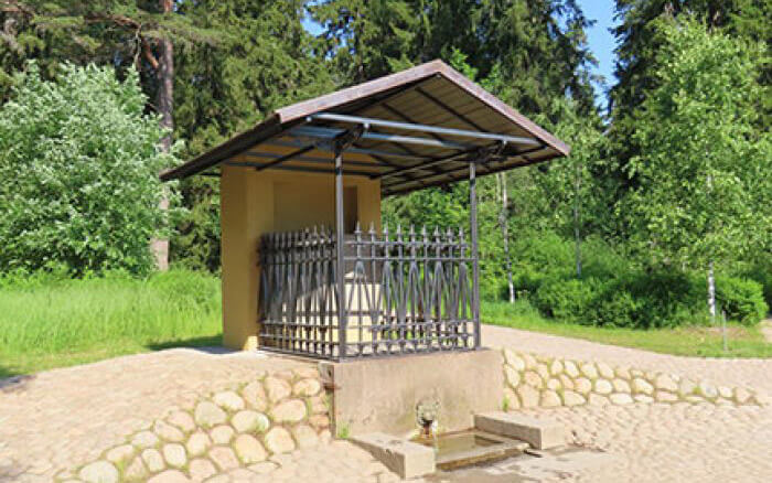 Источник Нарцисс: фото.