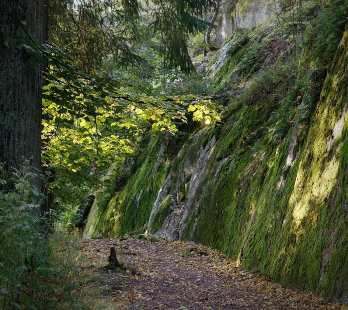 Скальная гряда: фото.