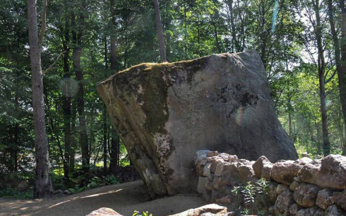 Камень китайского зонтика: фото.