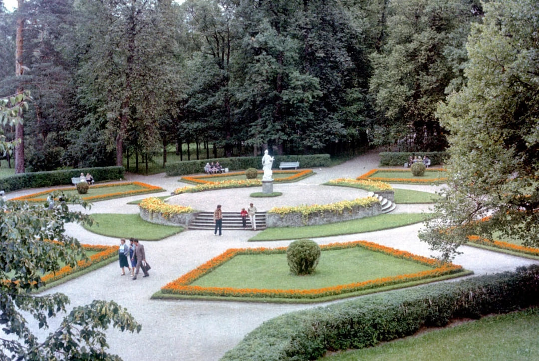 Большие круги: фото.